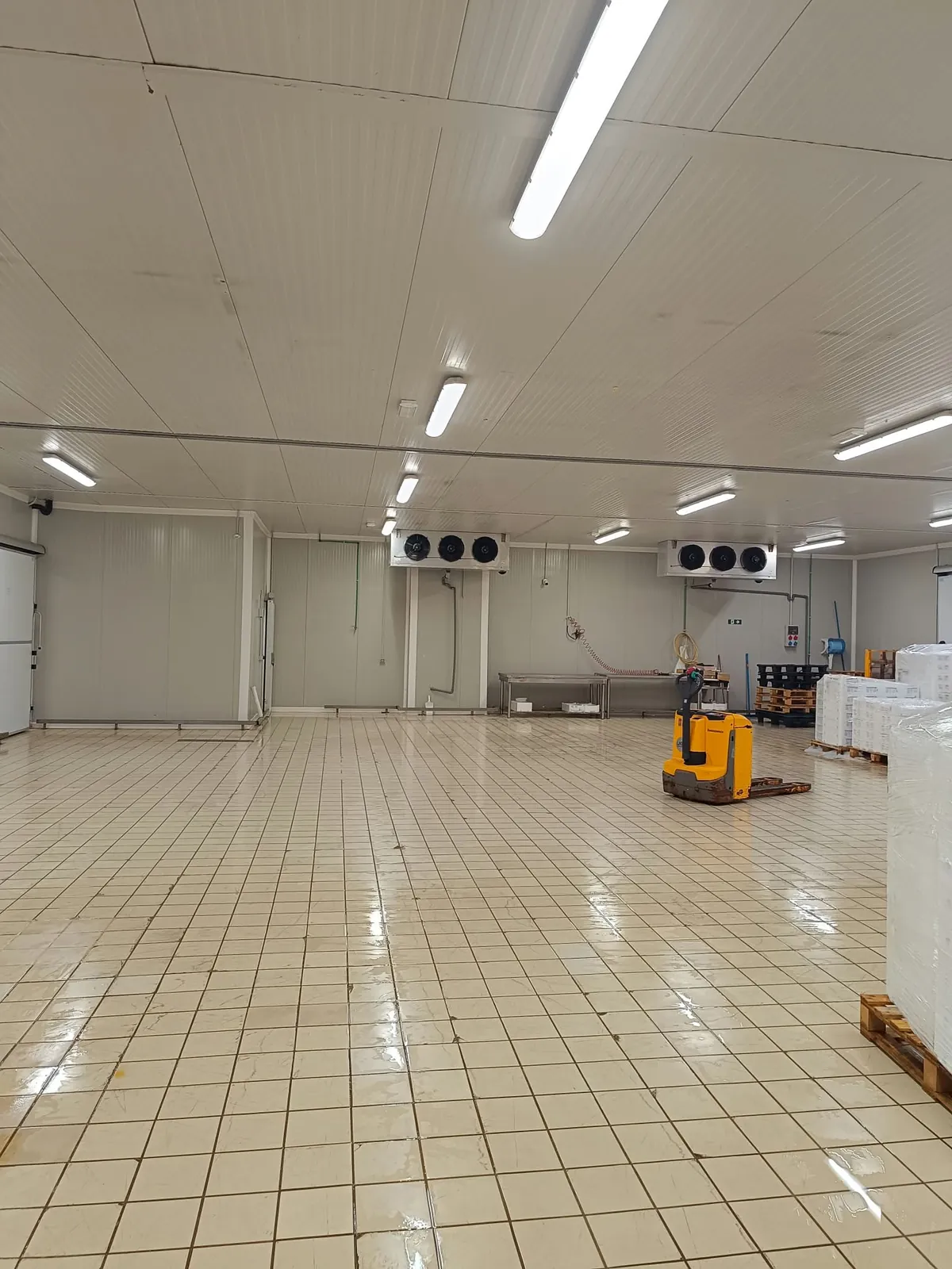 Ambiente refrigerato industriale con evaporatori e stoccaggio